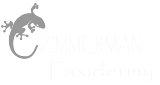 zimmermanstaxidermy.com